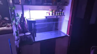 Acuario Sera 128L(sólo acuario)
