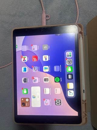 iPad 9ª Gen Gris