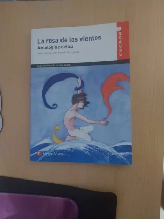 La Rosa De Los Vientos