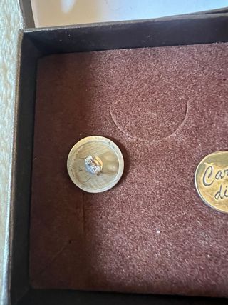 Pendientes Carpe Diem Plata nuevos