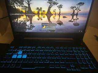 Portátil ASUS TUF Gaming 15