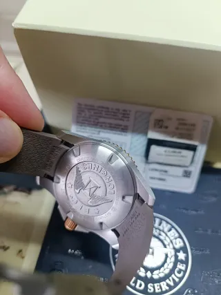 Longines Hydroconquest 41mm Oro y Gris