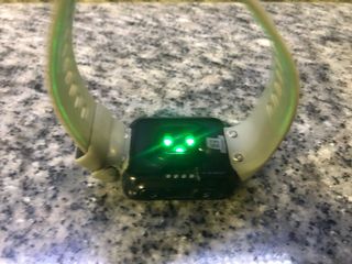 Garmin Forerunner 35