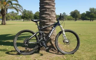 Bicicleta Giant Trance