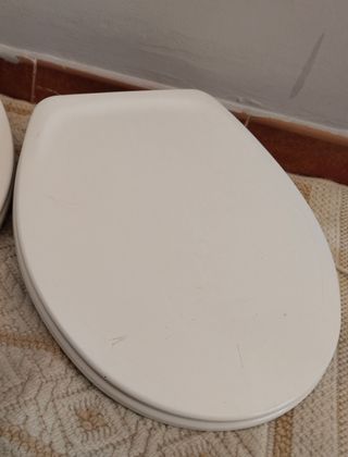 Tapa de váter Roca blanca