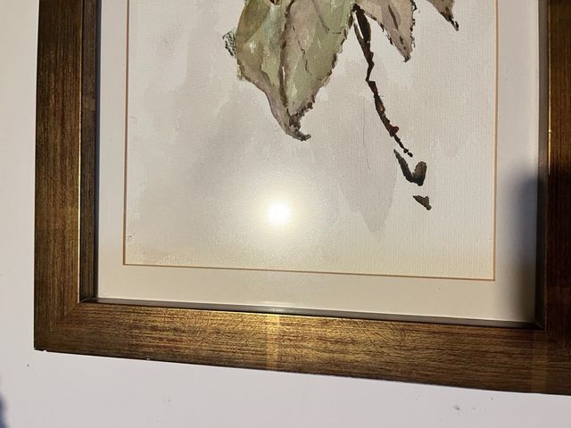 Cuadro acuarela girasoles autor firmado