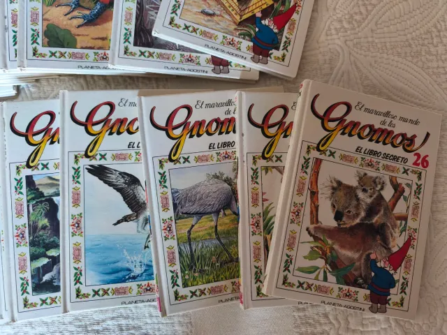 El maravilloso mundo de los Gnomos