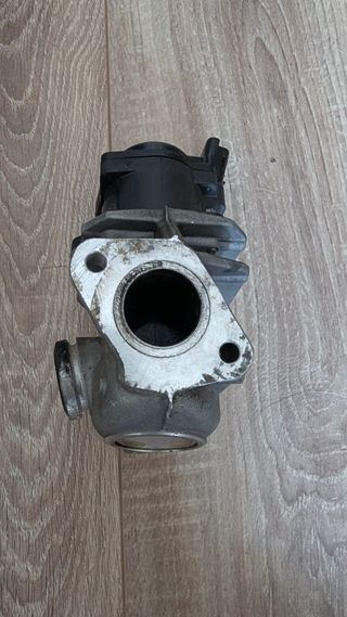 Valvula EGR 