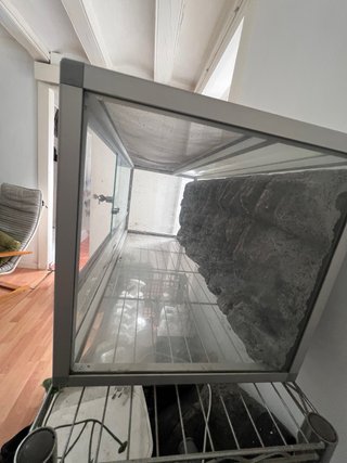 Terrario cristal fondo rocoso