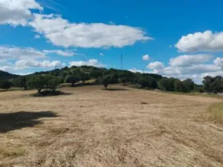 Se venden dos parcelas rústicas Jerez Caballeros 