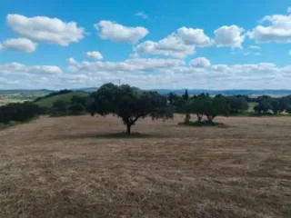Se venden dos parcelas rústicas Jerez Caballeros 