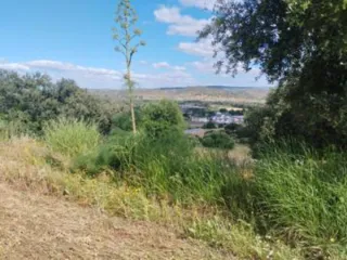 Se venden dos parcelas rústicas Jerez Caballeros 