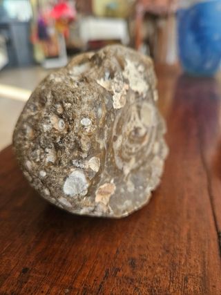 Nodulo geode grezzo Agata