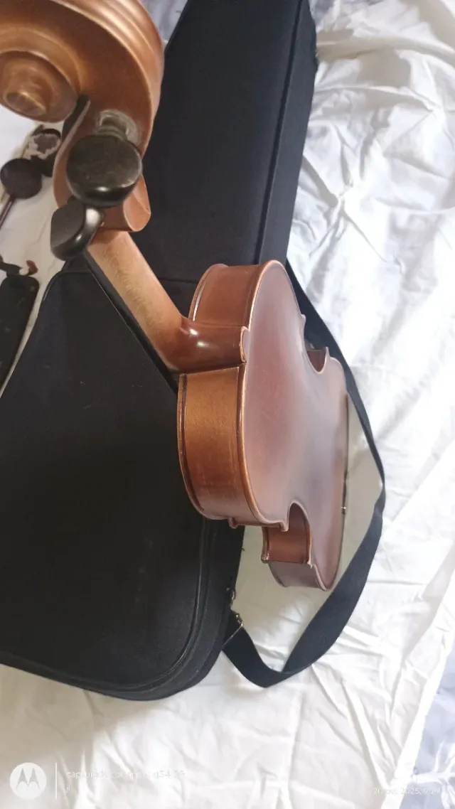 Violín 4/4 Hans Joseph Hauer