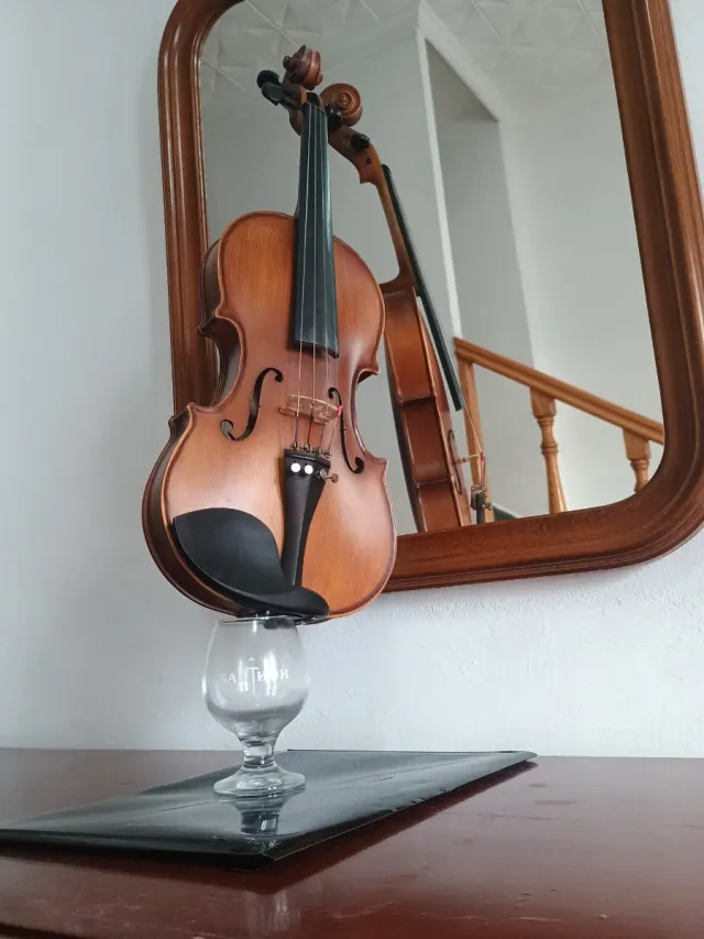 Violín 4/4 Hans Joseph Hauer