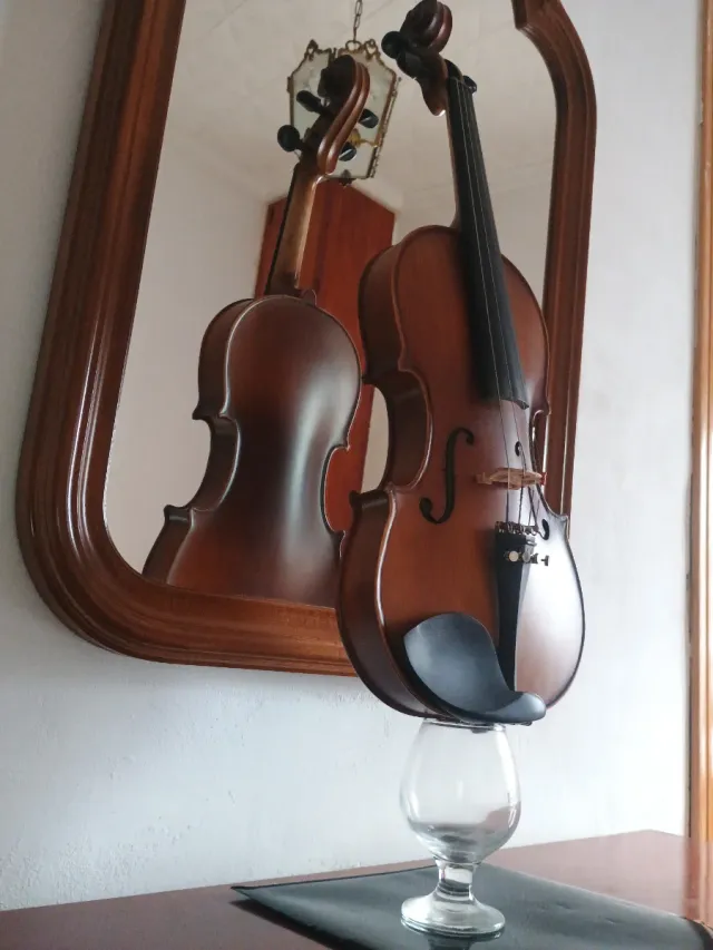 Violín 4/4 Hans Joseph Hauer