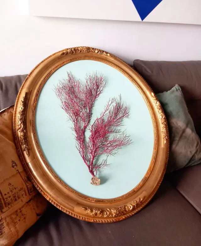 Marco Ovalado Isabelino S.XIX Decoración Marina