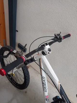 Bici de descenso berg