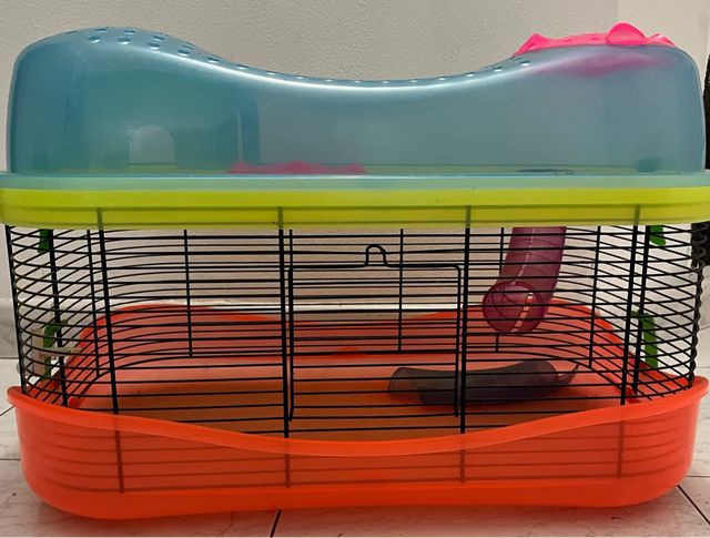 Casetta per criceti verde e arancione