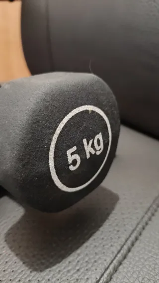Dos Mancuernas Reebok 5 kg (Par)
