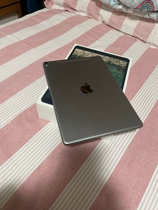 iPad Pro 10,5 256GB Wi-Fi+Cellular