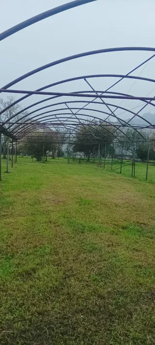 Estructura Invernadero Metálico 