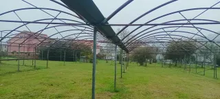 Estructura Invernadero Metálico 