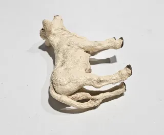 Ternero Papo