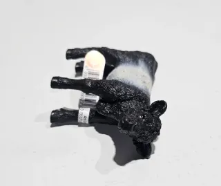 Ternero Galloway Schleich