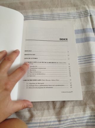 OPTIMIZACION HEURISTICA REDES NEURONALE