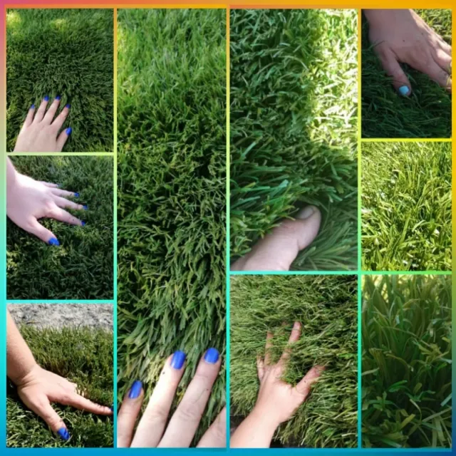 Césped artificial económico