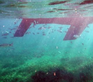 Velero Puma 23 en Formentera