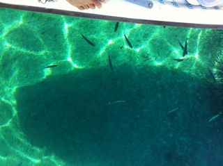 Velero Puma 23 en Formentera