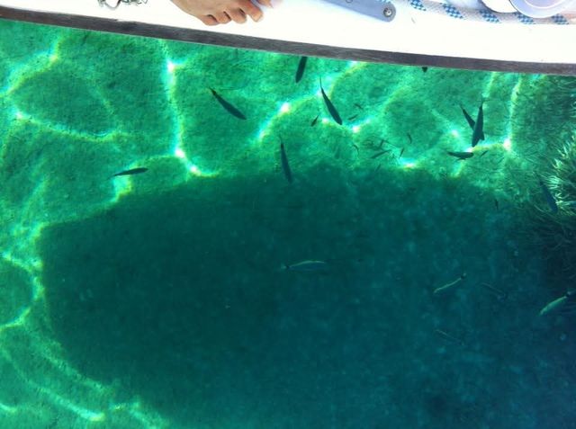 Velero Puma 23 en Formentera