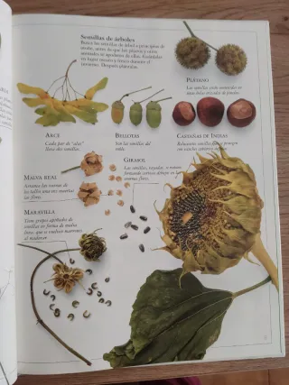 Mi Primer Libro de Jardineria (Spanish Edition)