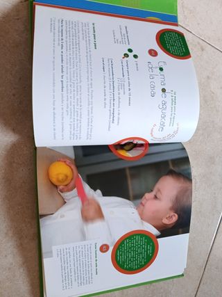Babycook book