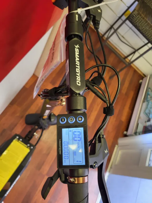 Scooter elettrico Speedway Pro