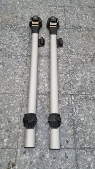 2 Portabici Thule  565 ThruRide da tetto