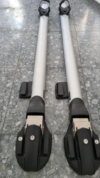 2 Portabici Thule  565 ThruRide da tetto