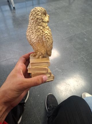 Libri con statuette Golden Owl