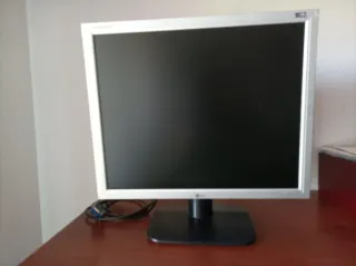 Pantalla LG Ordenador