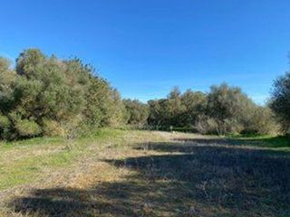 Terreno en venta en Campos