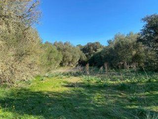 Terreno en venta en Campos