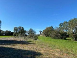 Terreno en venta en Campos