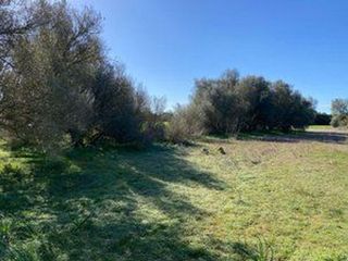 Terreno en venta en Campos