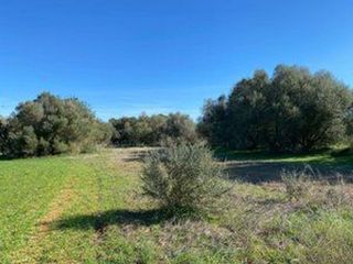 Terreno en venta en Campos