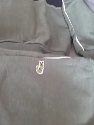 Conjunto Deportivo Lacoste Talla S Nuevo