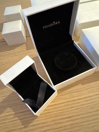 Lote 9 Cajas Pandora (6 Grandes, 3 Pequeñas)