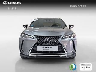 Lexus UX 2.0 250h Business