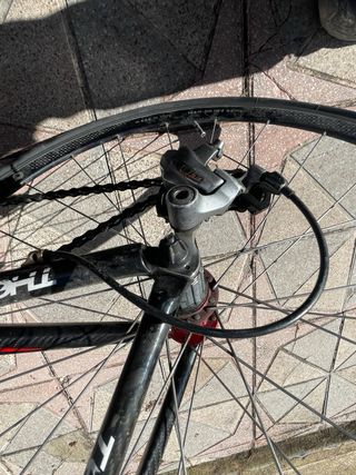 Bicicleta ciclismo Thompson Capella Carbono